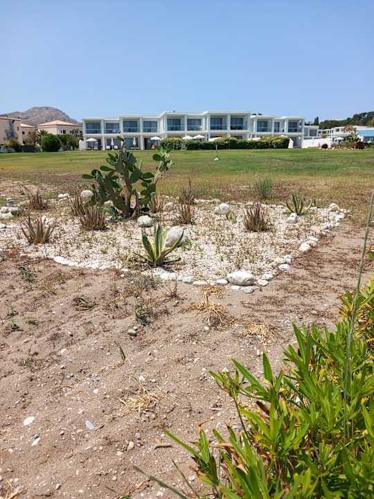 Gartenanlage Asterias Beach Resort