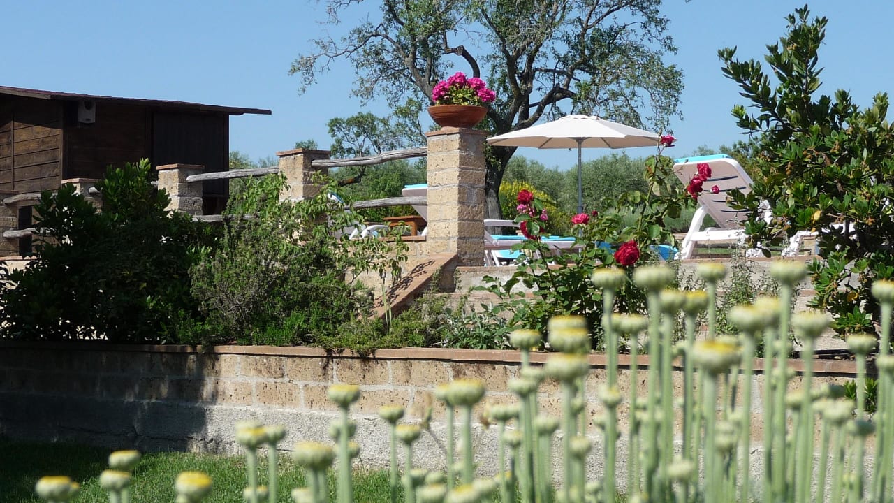 Garten und Pool Agriturismo Podere del Vescovo