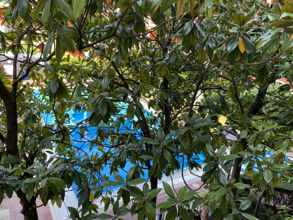 Ausblick Hotel El Andaluz Europa-Park