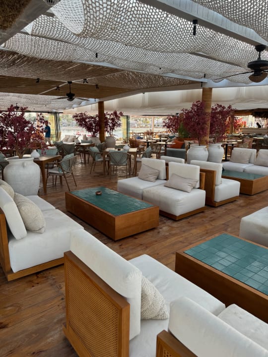 Sonstiges Desert Rose