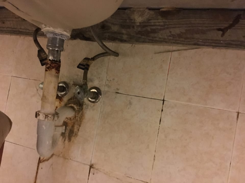 Zimmer Occidental Caribe