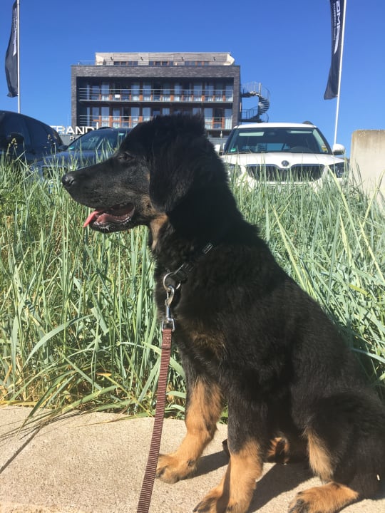 Außenansicht Strandgut Resort