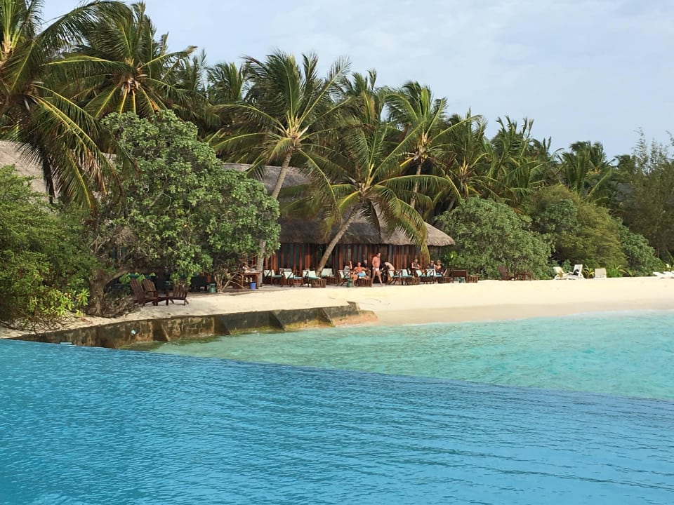 Pool zur Nevi-Bar Summer Island Maldives