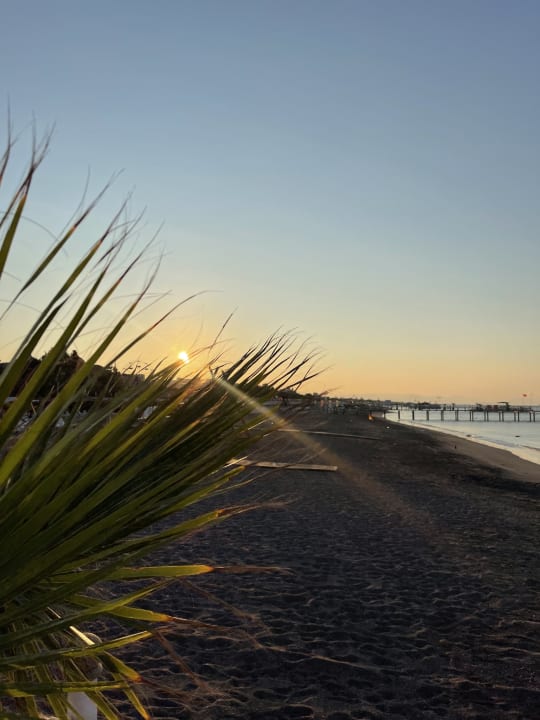 Strand Hotel Delphin Diva