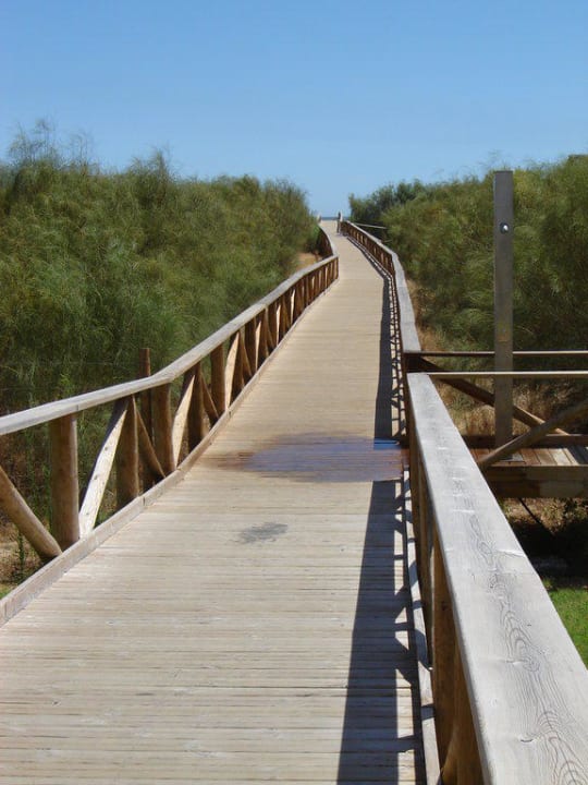 Steg zum Strand Playamarina Hotel