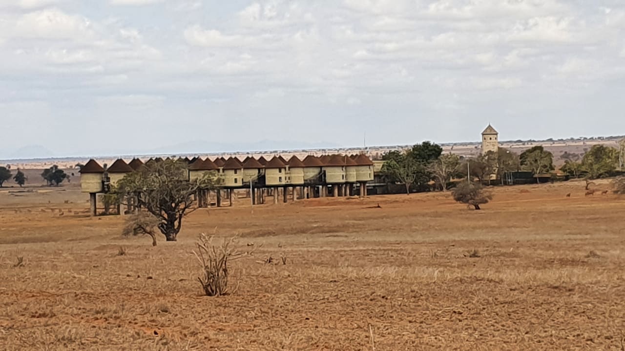 Außenansicht Salt Lick Safari Lodge