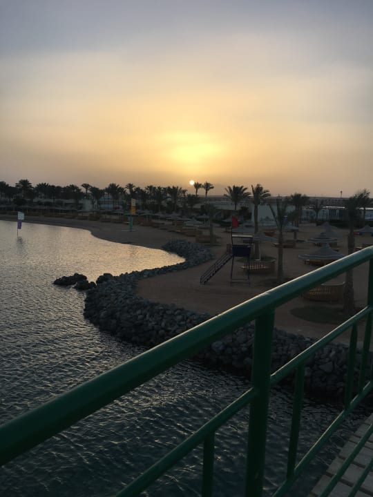 Ausblick Desert Rose