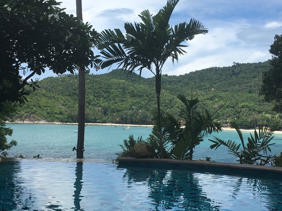 Pool Panviman Resort Koh Phangan