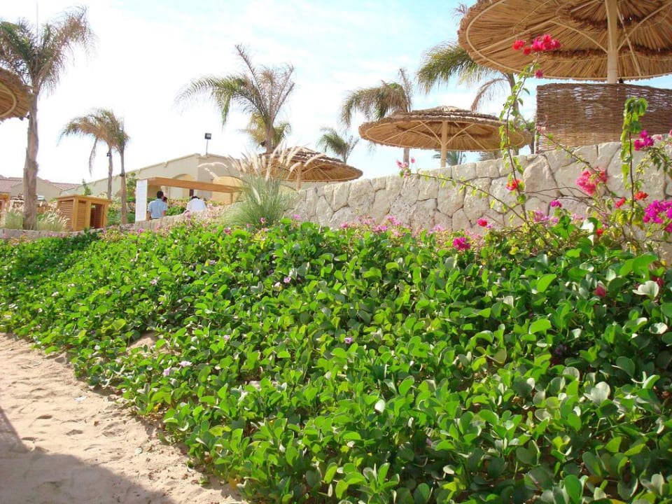 Die Strandterrasse Cleopatra Luxury Resort - Sharm El Sheikh