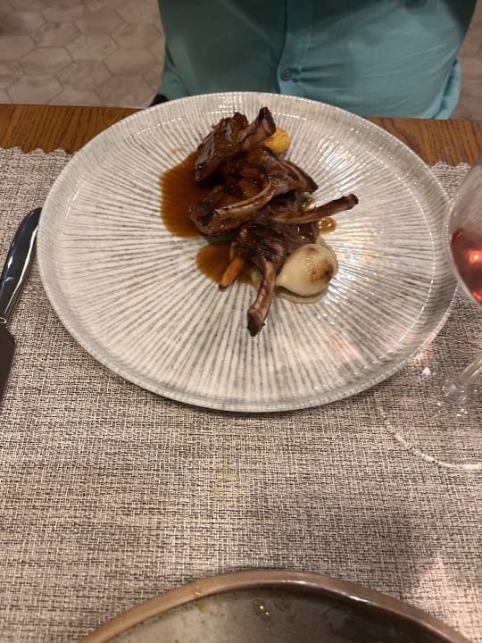 Gastro Acanthus Cennet Barut Collection