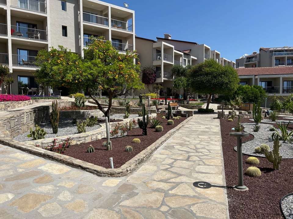 Gartenanlage Arum Barut Collection