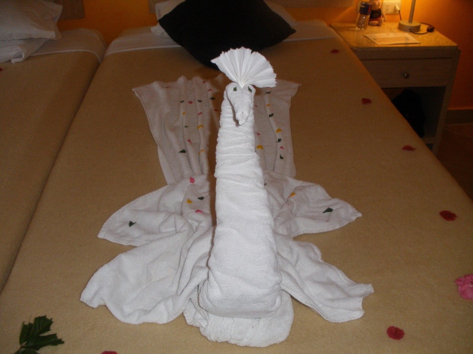 Deko Schwan  Hotel Gorgonia Beach Resort