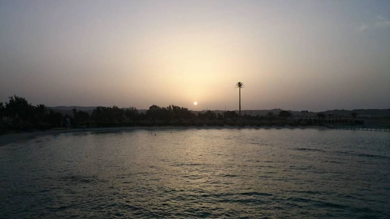 Aussicht vom Hotel an den Hotel-Strand Mövenpick Resort El Quseir