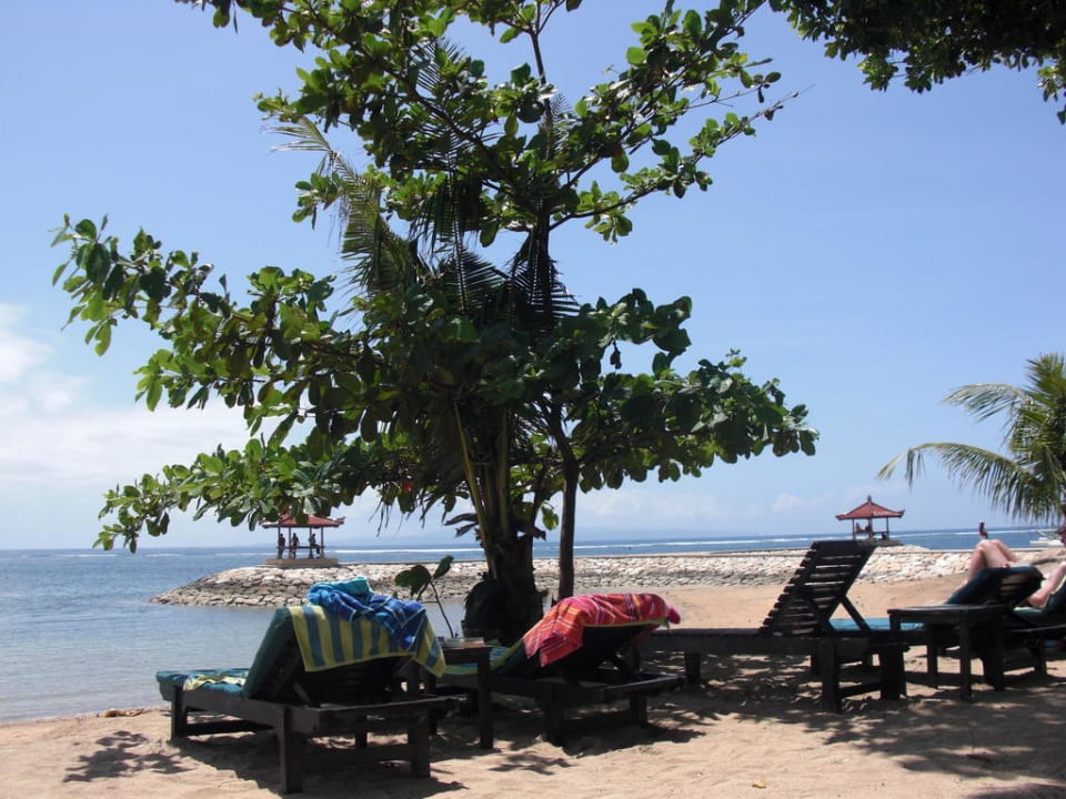 Blick zum Meer Villa Shanti Beach