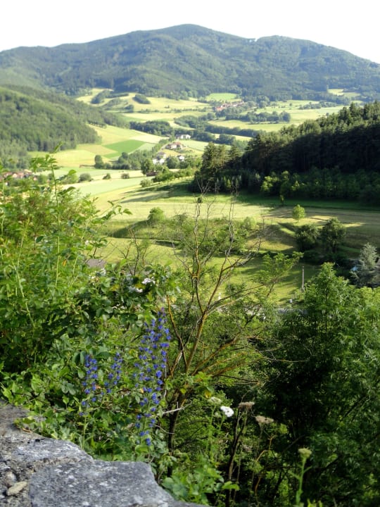 Blick von der Burgschänke Hotel Burg Oberranna