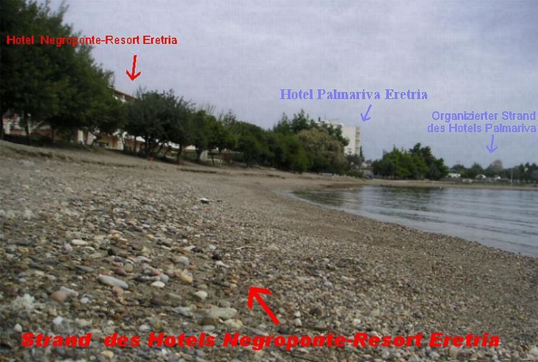 Strand des Hotels Negroponte Resort Eretria Hotel Negroponte Resort Eretria
