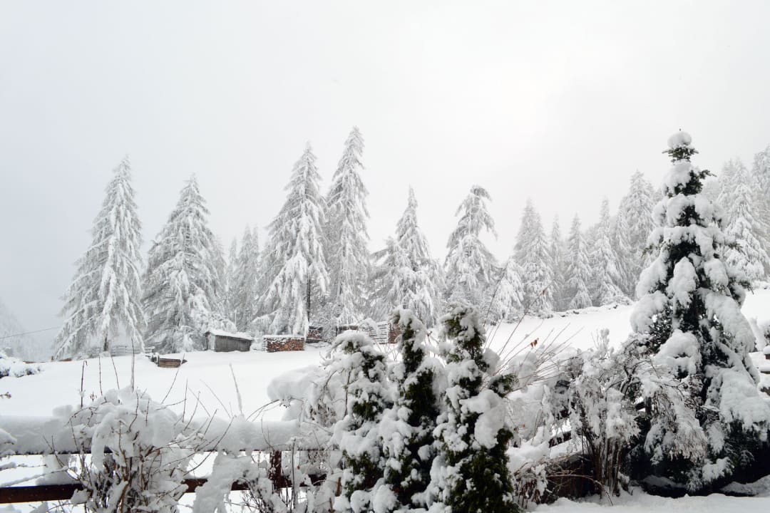 Tief verschneite Winterlandschaft Pension Zur alten Mühle