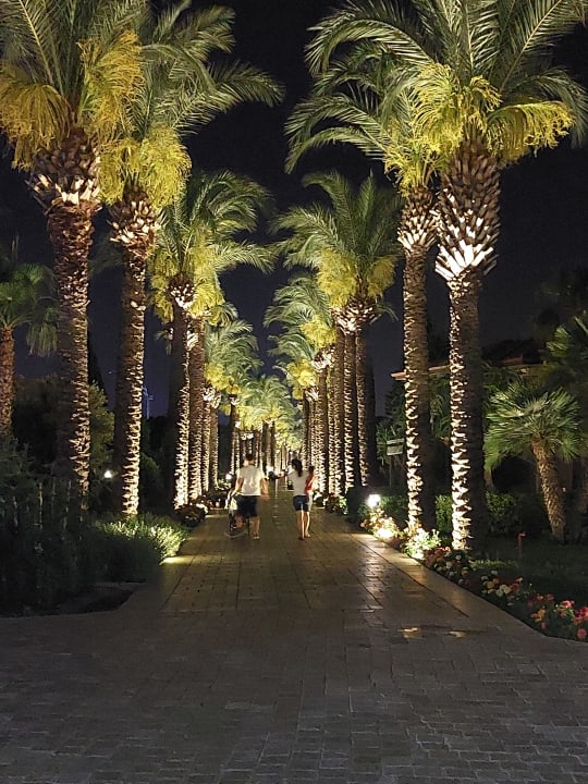 Gartenanlage TUI BLUE Palm Garden