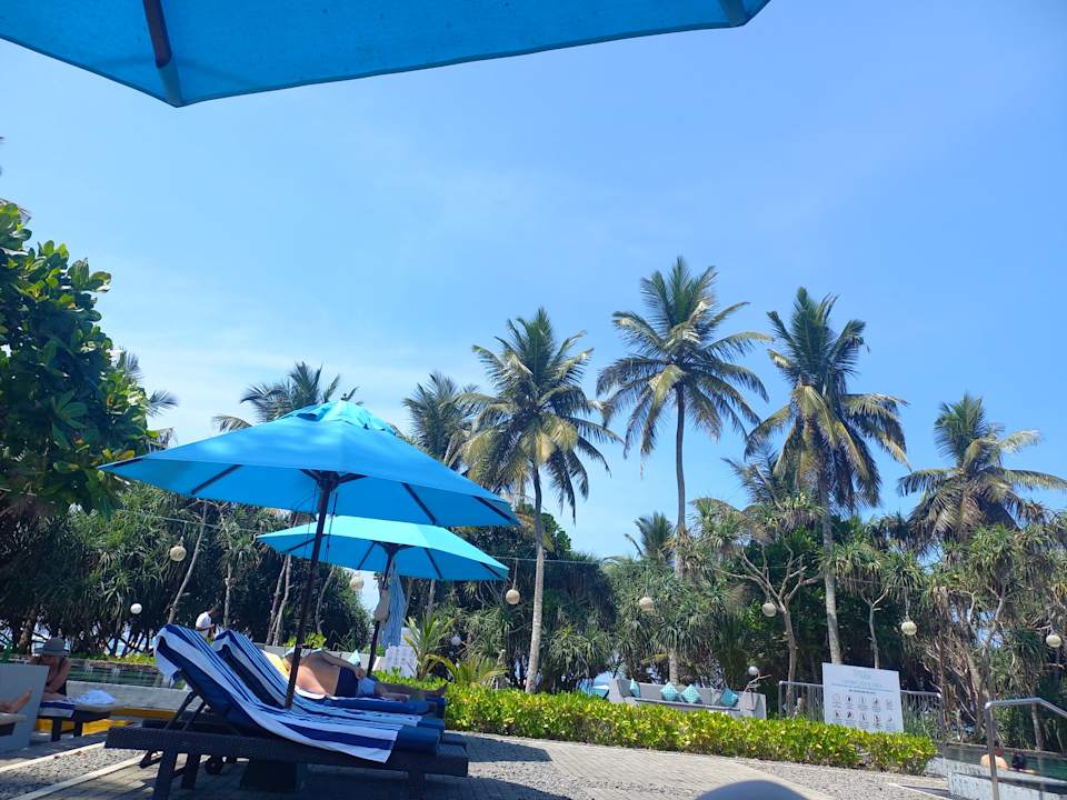 Sonstiges Thaala Bentota