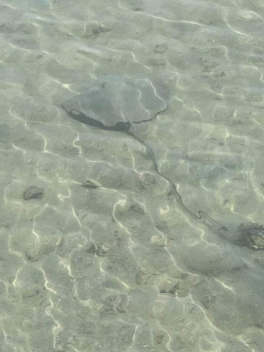 Strand Panorama Bungalows Resort El Gouna