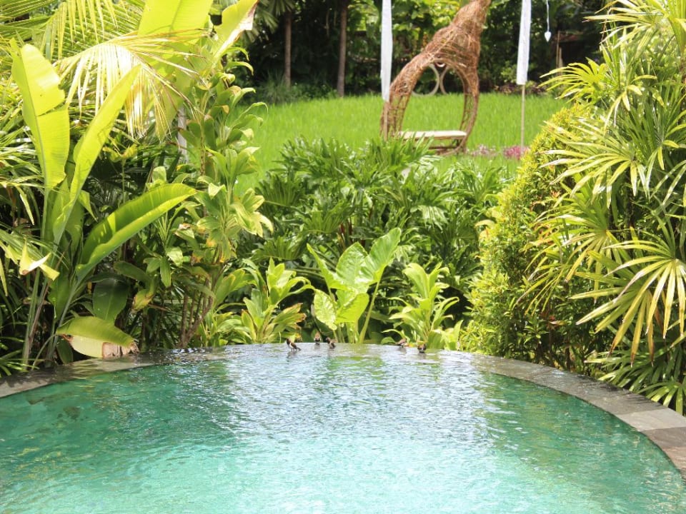 Zimmer The Sankara Suites and Villas