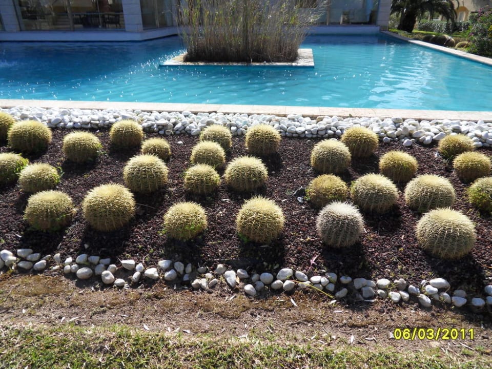 Garten Prinsotel La Dorada