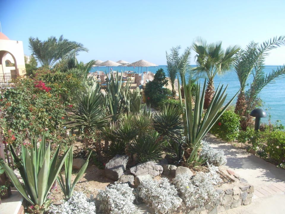 "Gartenanlage" Hotel Three Corners Ocean View prestige - Adults only