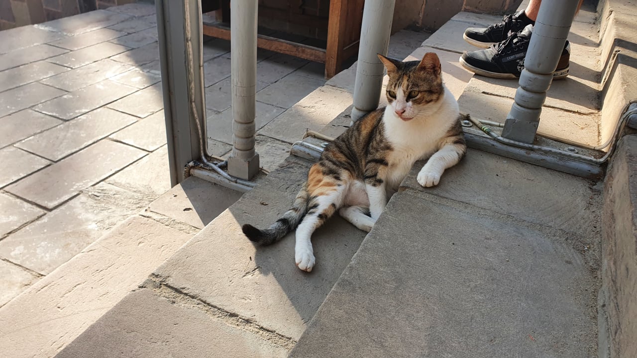 Sonstiges Dream Lagoon Resort & Aqua Park