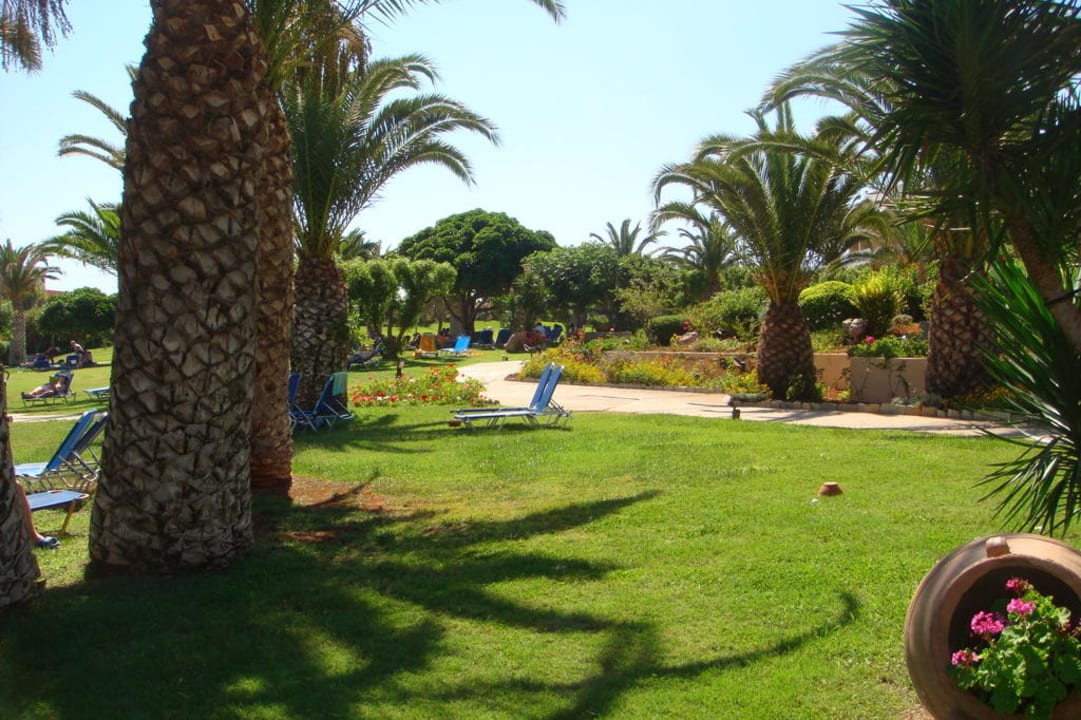 Sliczna trawka-mozna nawet na niej sie opalac Anissa Beach & Village