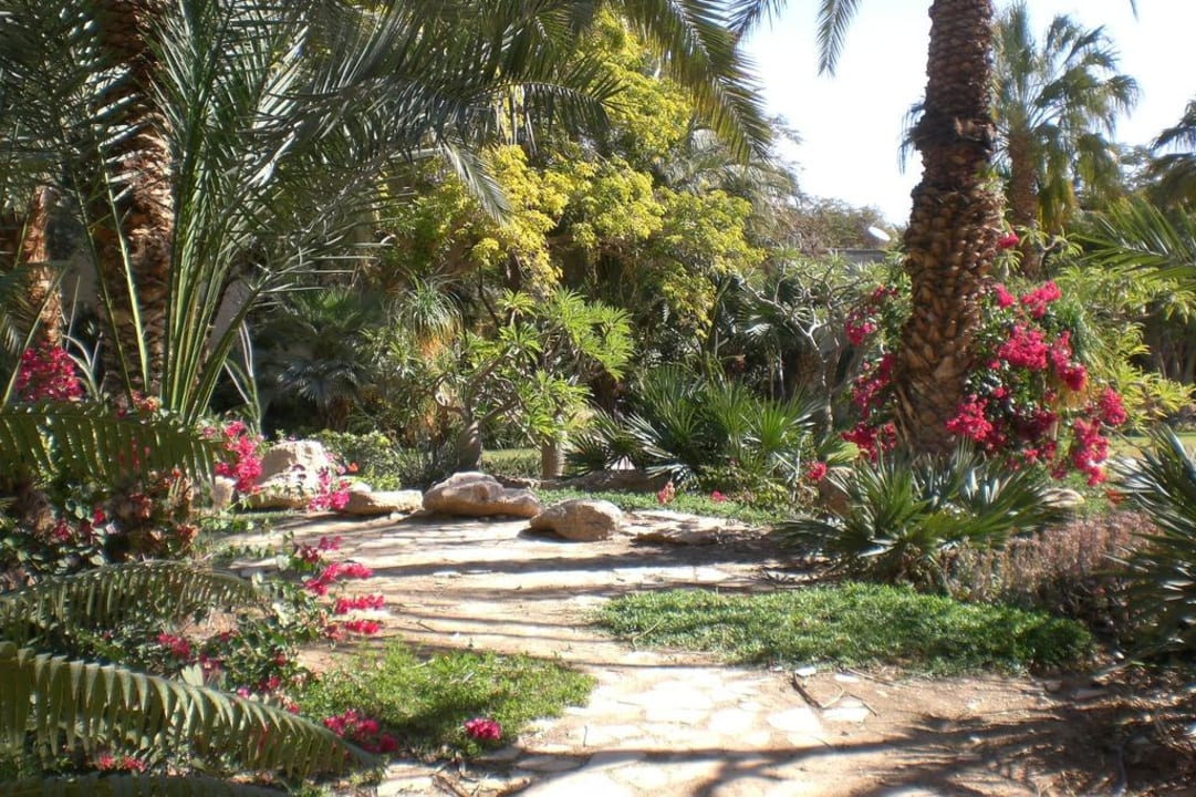 Ein Gedi Garten Ein Gedi Kibbutz Hotel