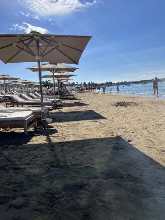 Strand Acanthus Cennet Barut Collection