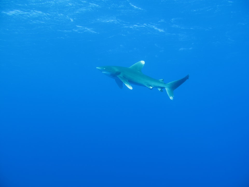 Sport & Freizeit Three Corners Equinox Beach Resort