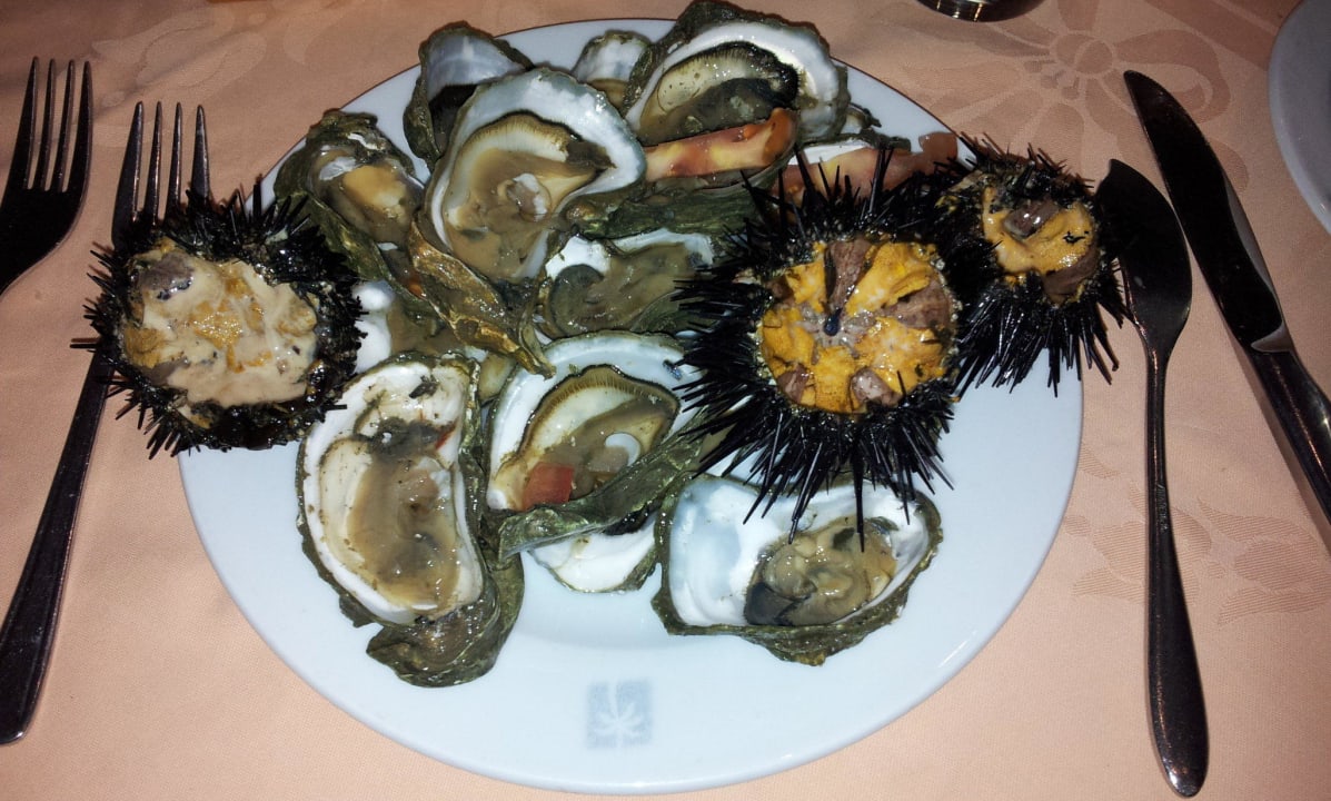 BEMA Foto Hotel Framissima Palm Beach