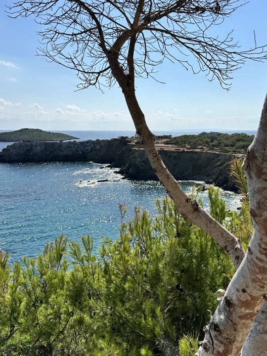 Ausblick TUI MAGIC LIFE Cala Pada