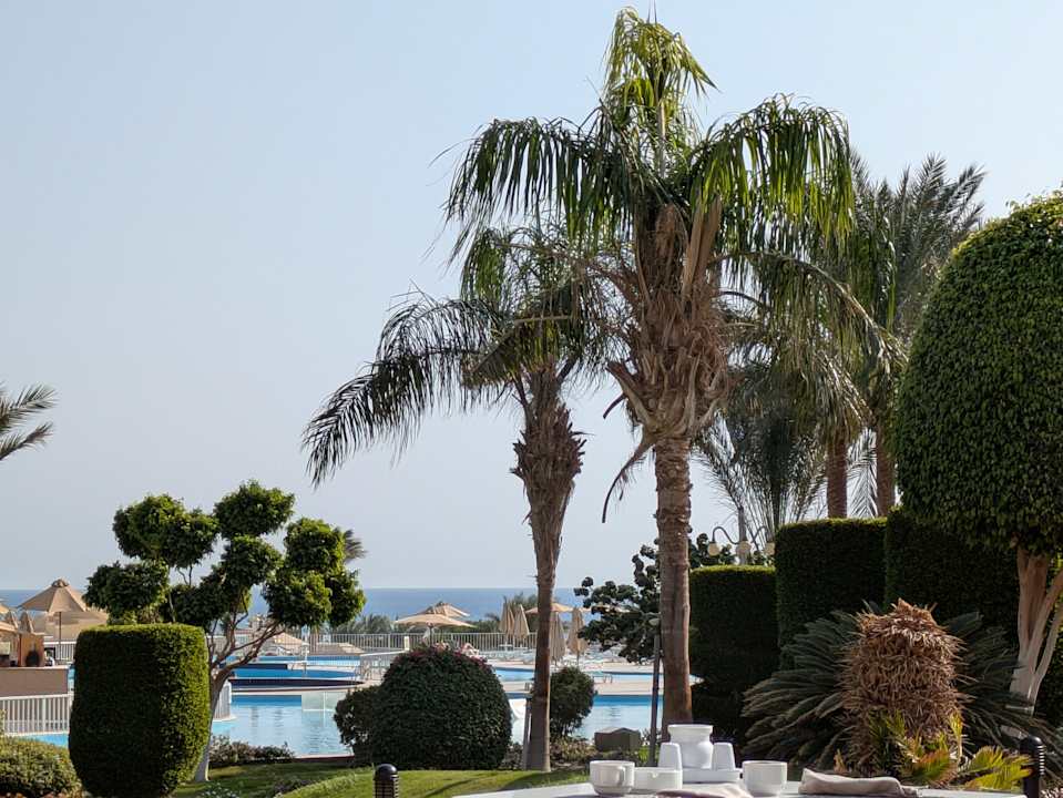 Pool Serenity Alpha Beach