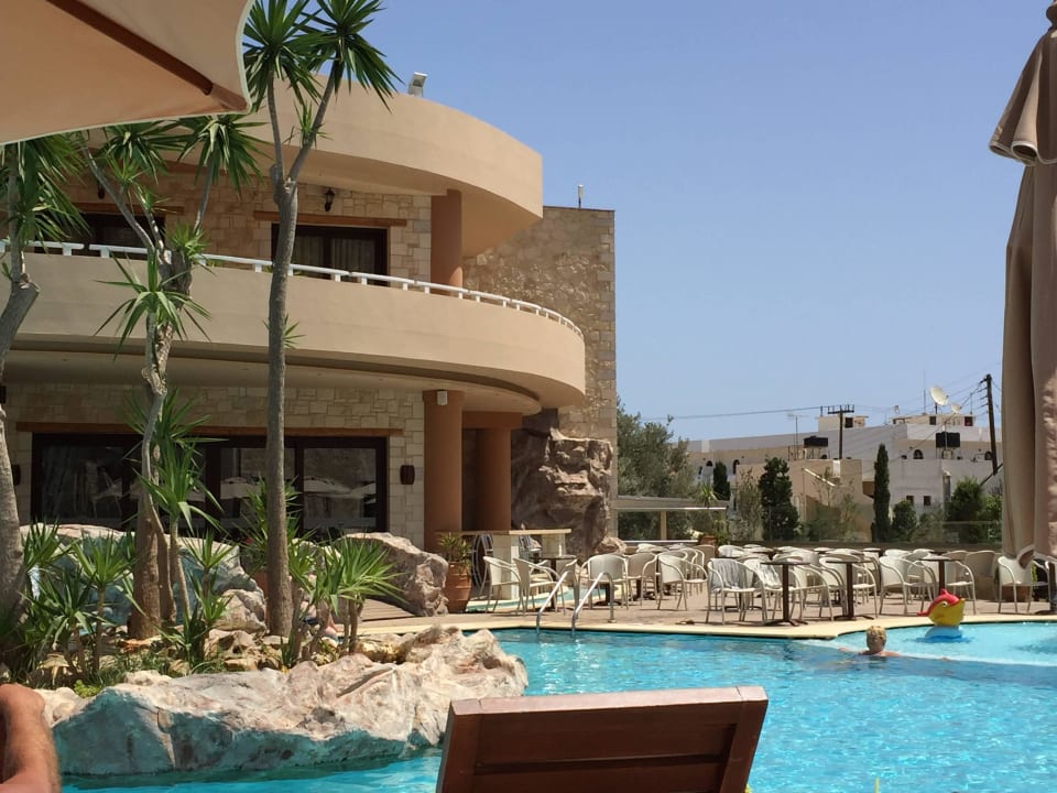 Sehr schön  Cactus Royal