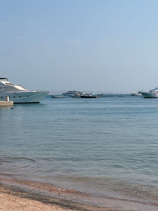 Strand The Grand Palace - Adults only