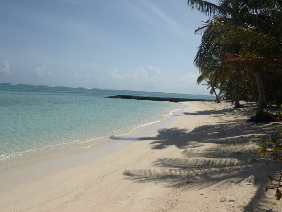 SIV Summer Island Maldives