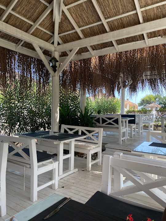 Gastro Balmy Foresta