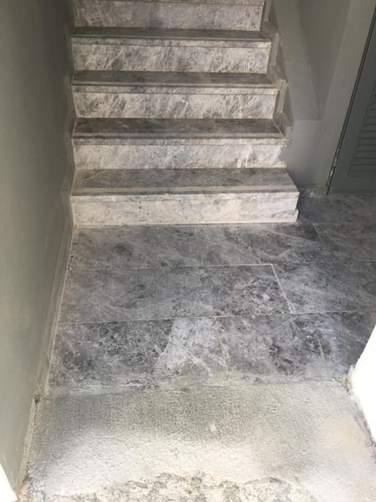 Zimmer Paloma Finesse