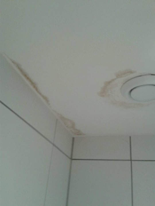 Schimmel unter der Decke Hotel Fröhlich