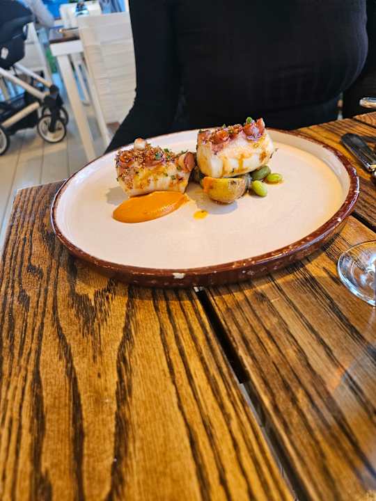 Gastro Lara Barut Collection