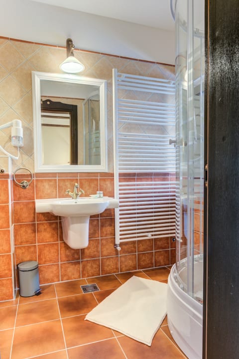 Zimmer Conacul Ambient