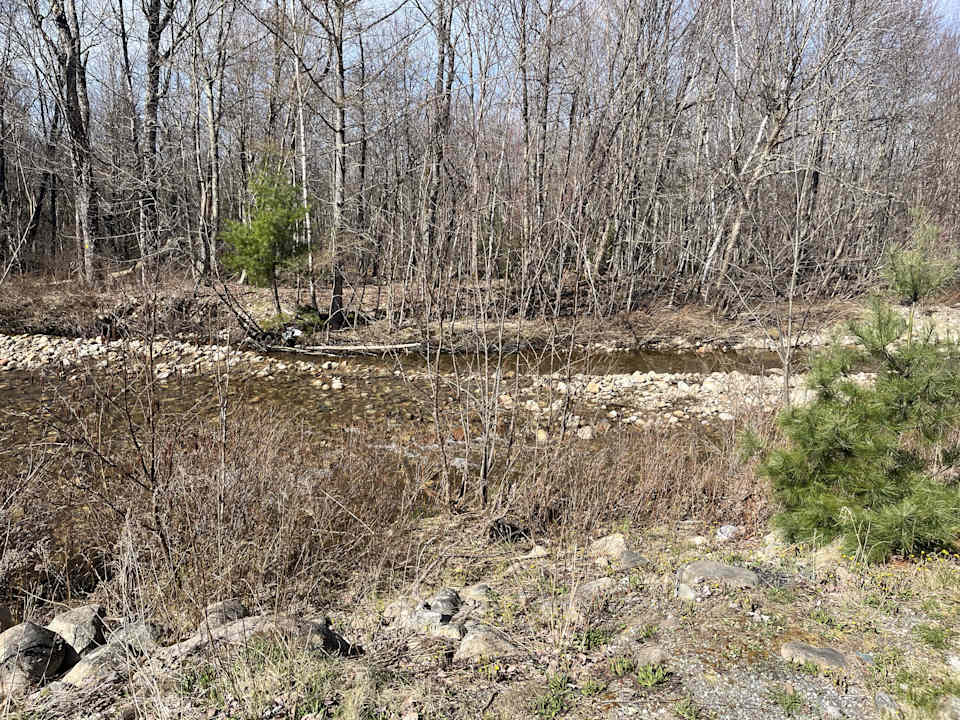 Ausblick Stonybrook Motel & Lodge