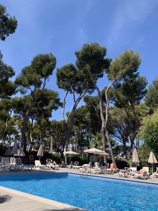 Pool Hotel Riu Festival