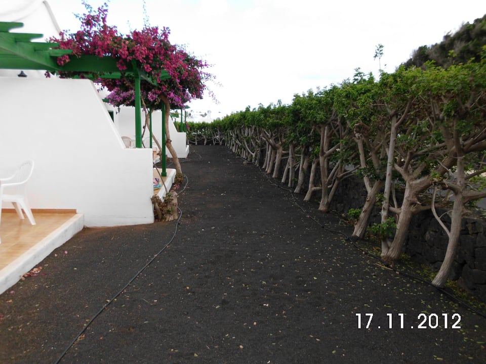 Keine schöne Aussicht von der Terrasse Hotel Hyde Park Lane