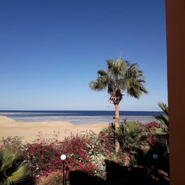Strand Blue Reef Red Sea Resort