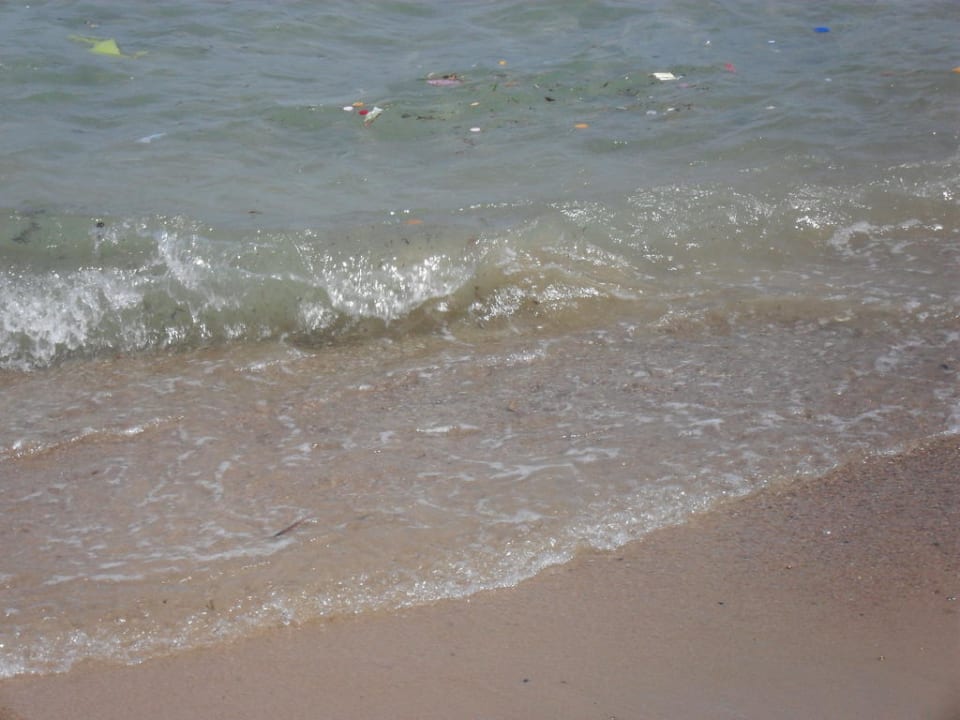 Smieci w wodzie przy plazy hotelowej Desert Rose