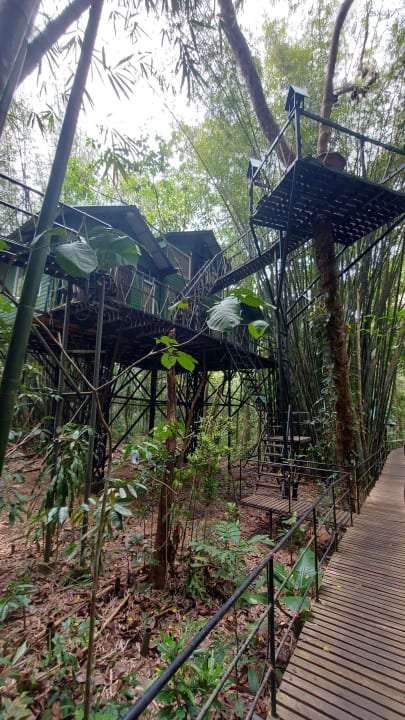 Zimmer Treehouse Resort