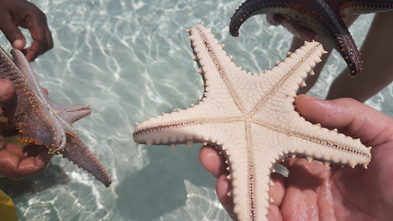 Strand Royal Zanzibar Beach Resort